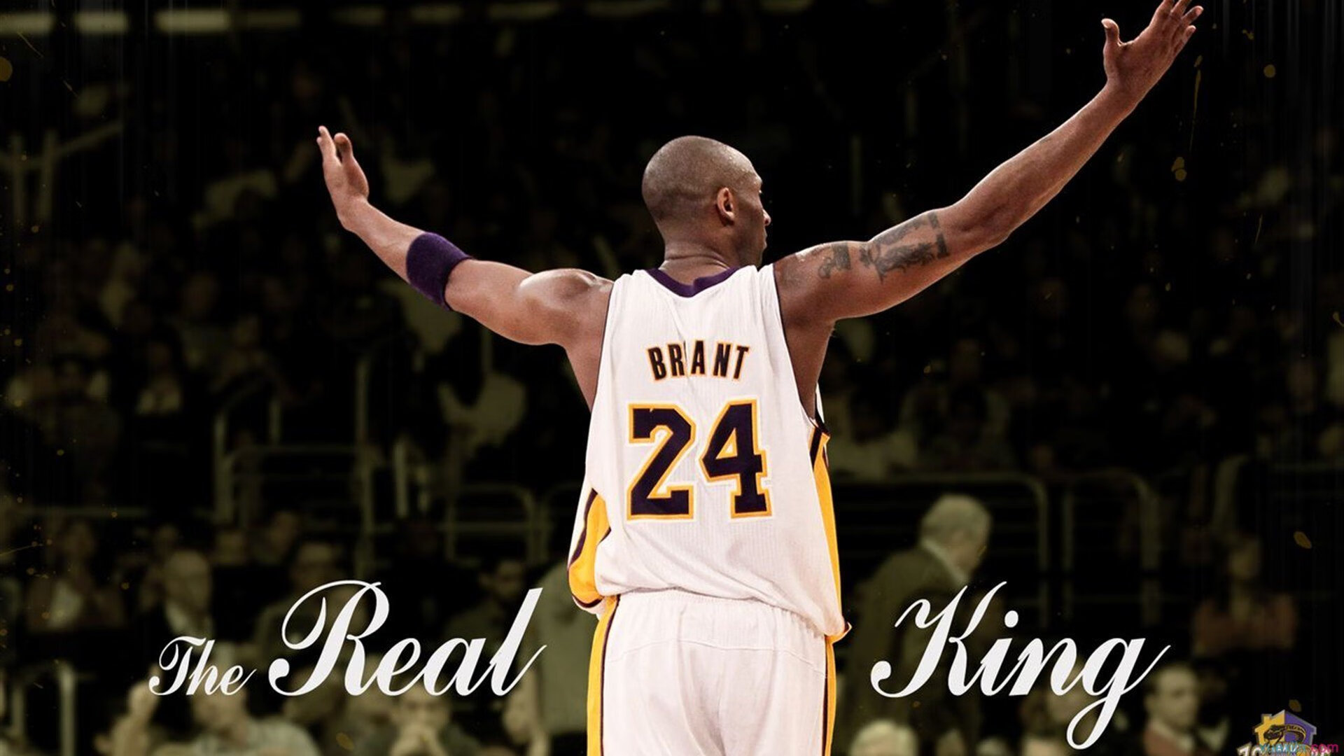 老将的火焰，纳达尔绝境逆转，用联合杯的曙光点燃总决赛之路